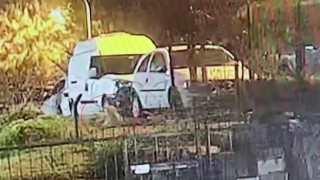 Üsküdarda köpeği silahla vurarak yaraladılar