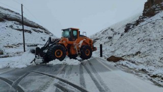 Van-Bahçesaray yolu ulaşıma kapatıldı