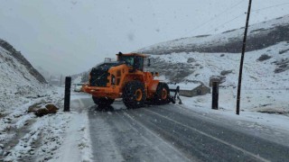 Van-Bahçesaray yolu ulaşıma kapatıldı
