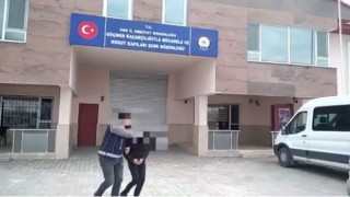 Vanda 2 organizatör tutuklandı
