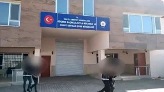 Vanda 5 organizatör tutuklandı