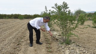 Vekil adayı eline çapayı alıp indiği tarladan üreticiye söz verdi