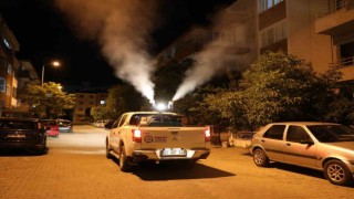 Vektörle mücadele devam ediyor