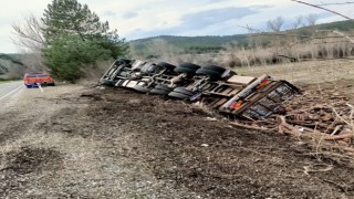 Virajı alamayan odun yüklü kamyon devrildi: 1 yaralı