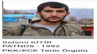 Yakalanan Yeşil Sol Parti adayı Ayten Dönmezin kardeşi de ‘Gri kategoride PKKdan aranıyor