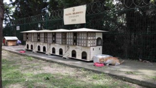 Yalova Belediyesinden Safranbolu konseptli kedi evleri