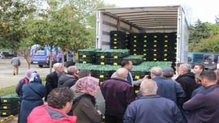 Yalovada çiftçilere 252 bin adet sebze fidesi dağıttı