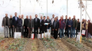 Yalovada kesme gül zararlısına karşı mavi yapışkan tuzak dağıtıldı