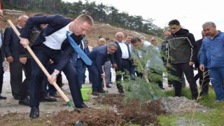 Yanan alanı muhtarlar yeniden yeşillendirecek