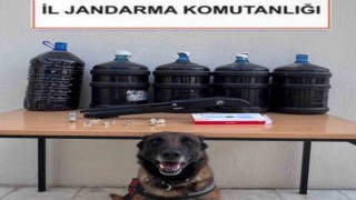 Yatağanda uyuşturucu ve kaçak içki operasyonu
