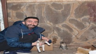 Yavru kediyi boğulmaktan kurtardı