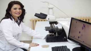 Yerli arı zehirli cilt bakım ürünü dünya birincisi oldu