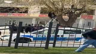 Yoldan geçenler gördüklerine inanamadı