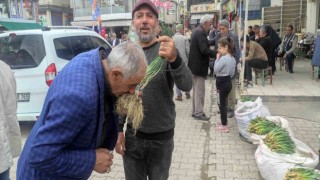 Yüksek dağlarda yetişen ve birçok hastalığa iyi geldiği belirtilen zuzubak otu yok satılıyor