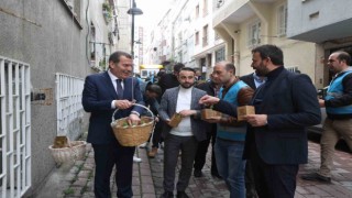 Zeytinburnuna Bahar Fesleğenle geldi