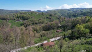 Zonguldak ormanlarında ilkbahar güzelliği havadan görüntülendi