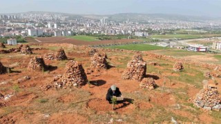 77lik İsmail dede, 300 ton taş topladığı dağlık araziyi ağaçlarla kapladı