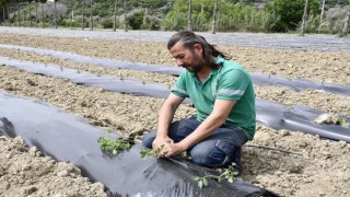 Adabahçeye yaz bereketiyle geldi