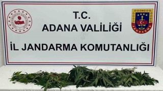 Adanada jandarmadan “Huzur ve güven” uygulaması
