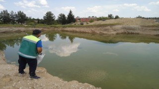 Adıyamanda haşarat ile mücadelesi devam ediyor