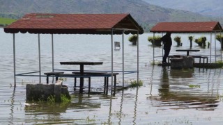 Afrika çöllerini aratmıyordu, şimdiyse kamelyalar sular altında kaldı
