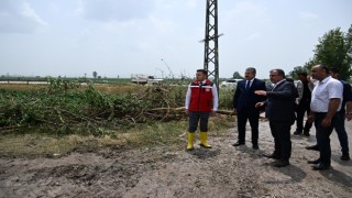 Ağaçların devrildiği, hortumun vurduğu Sakarcalıkta yaralar sarılıyor