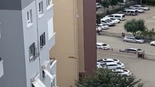 Ağır hasarlı binada kurtarılmak istenen kedi korkup aşağı atladı