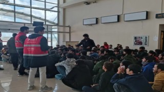 Ağrıda 80 düzensiz göçmen yakalandı