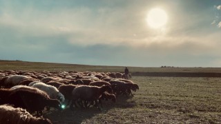 Ağrıda gün batımı göz kamaştırdı