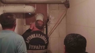 AK Parti il binasında kedi kurtarma operasyonu