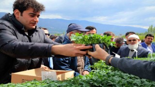 Akademik fidelerin satışı başlatıldı