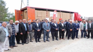 Akıncılarda 220 bin domates fidesi dağıtıldı