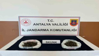 Alanyada uyuşturucu ticaretine jandarma engeli