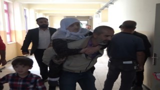 Annesini sırtında taşıyarak sandığa getirdi