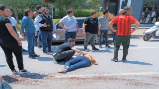 Aracın çarptığı kadın yaya ağır yaralandı