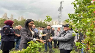 Ardahanda arı yetiştiricilerine fidan verildi