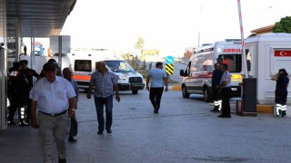 Arı sokmasına bağlı ciddi alerjik reaksiyonlar ölüme sebep olabilir
