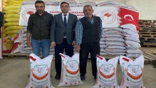 Aslanapada çiftçilere yüzde 50 hibeli 25 ton nohut tohumu dağıtıldı