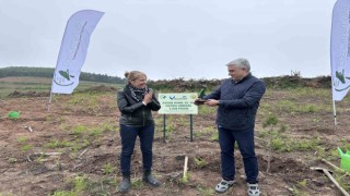 Assan Hanil, 25inci yılı şerefine Hatıra Ormanı Projesini hayata geçirdi