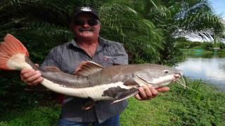 Avustralyada kayıp kişinin kalıntıları timsahın midesinden çıktı