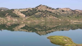 Aydında bahar yağmurları sevindirdi, barajlardaki su seviyesi yükselmeye devam ediyor