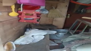 Ayılar yayla evlerini talan etti, vatandaş eve Selamünaleyküm diyerek girdi