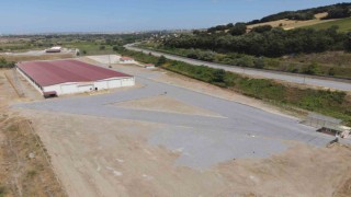 Bafra Canlı Hayvan Pazarı yeniden açıldı