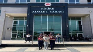 Bağ ve bahçe hırsızlarını jandarma yakaladı