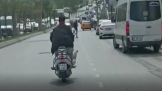 Bahçelievlerde köpekle tehlikeli yolculuk kamerada