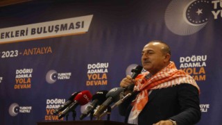 Bakan Çavuşoğlundan kayyum tepkisi