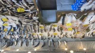 Balık fiyatları düştü, Karadeniz somonu 300 yerine 100 liradan satılıyor