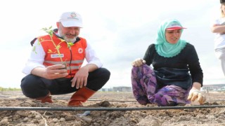 Başkan Çolakbayrakdar; “Kocasinan, şehrin merkezinde tarımsal üretimle Türkiyeye örnek olacak”