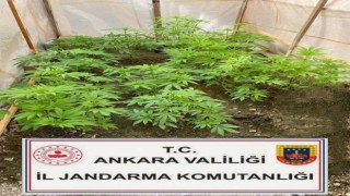 Başkentte uyuşturucuyla mücadele çalışmaları hız kesmeden devam ediyor