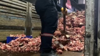 Bayrampaşada şoke eden görüntü: Et satışı yapılan işletmelerde hijyen kurallarına uyulmadı